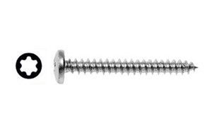 Spanplattenschrauben Panhead V2A Torx